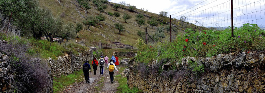 Ruta del Rey Jayón: naturaleza y patrimonio para descubrir la campiña sur